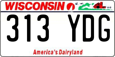 WI license plate 313YDG