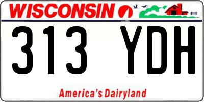 WI license plate 313YDH