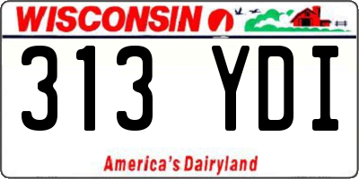 WI license plate 313YDI