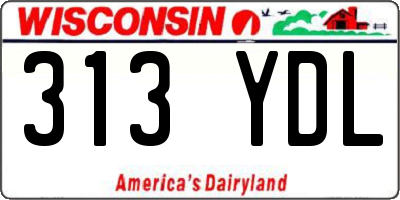 WI license plate 313YDL