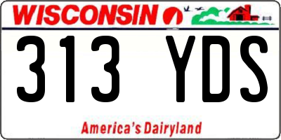 WI license plate 313YDS