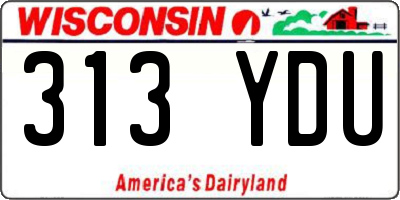 WI license plate 313YDU
