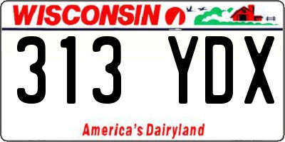 WI license plate 313YDX