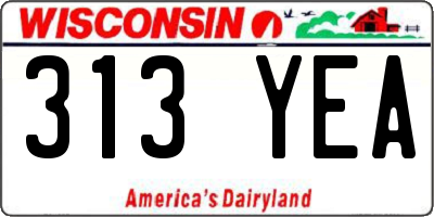 WI license plate 313YEA