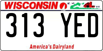 WI license plate 313YED