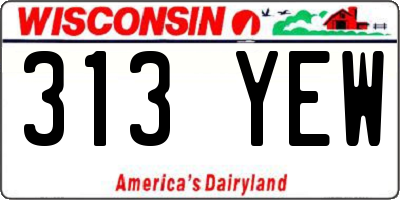 WI license plate 313YEW