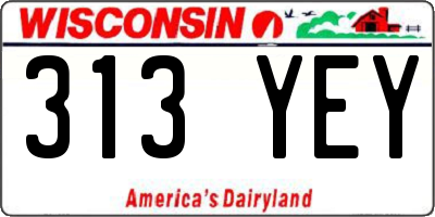 WI license plate 313YEY