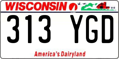 WI license plate 313YGD