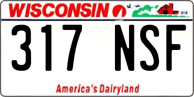 WI license plate 317NSF