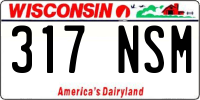 WI license plate 317NSM