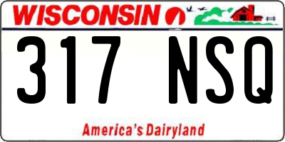 WI license plate 317NSQ