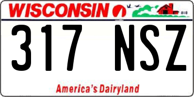 WI license plate 317NSZ