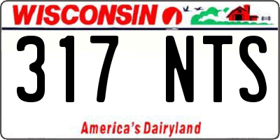 WI license plate 317NTS
