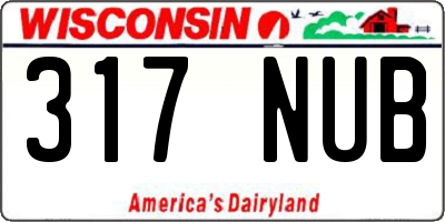 WI license plate 317NUB