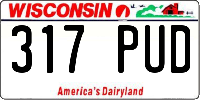 WI license plate 317PUD