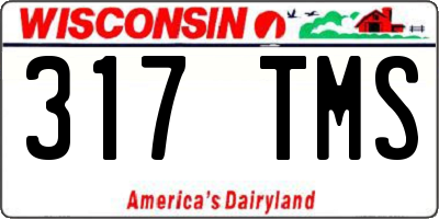 WI license plate 317TMS