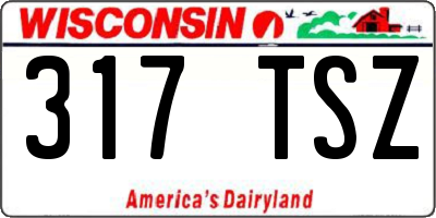 WI license plate 317TSZ
