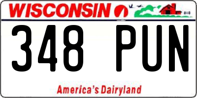 WI license plate 348PUN