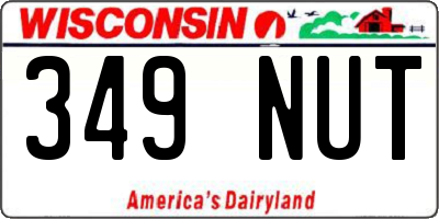 WI license plate 349NUT