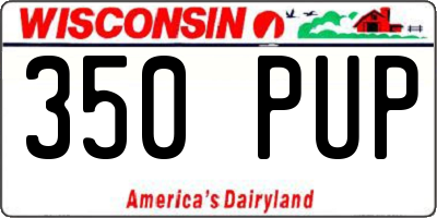 WI license plate 350PUP