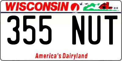 WI license plate 355NUT