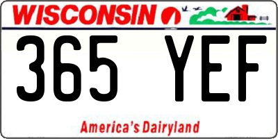 WI license plate 365YEF