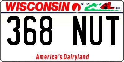 WI license plate 368NUT