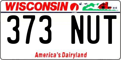 WI license plate 373NUT