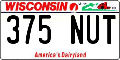 WI license plate 375NUT
