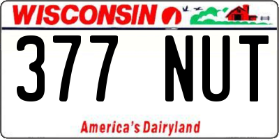WI license plate 377NUT