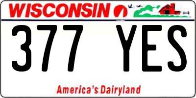 WI license plate 377YES