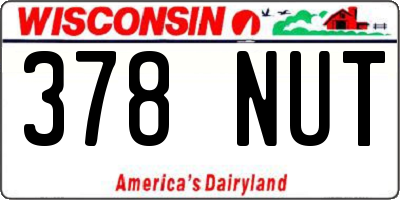 WI license plate 378NUT