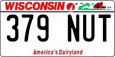WI license plate 379NUT