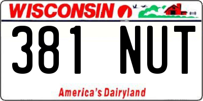 WI license plate 381NUT