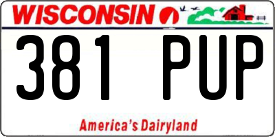 WI license plate 381PUP