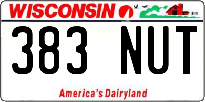 WI license plate 383NUT