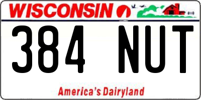WI license plate 384NUT