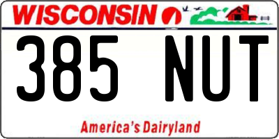 WI license plate 385NUT