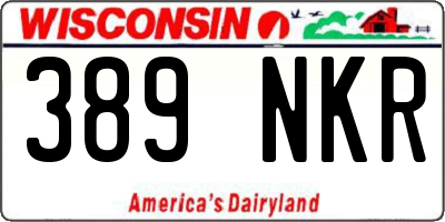 WI license plate 389NKR