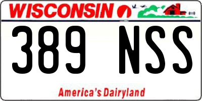 WI license plate 389NSS