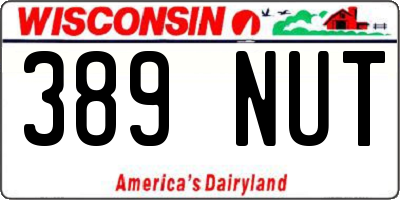 WI license plate 389NUT