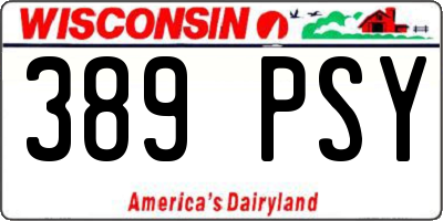 WI license plate 389PSY
