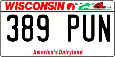 WI license plate 389PUN