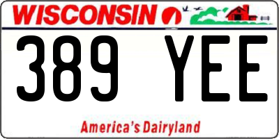 WI license plate 389YEE