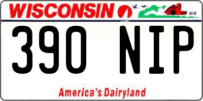 WI license plate 390NIP