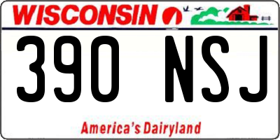 WI license plate 390NSJ