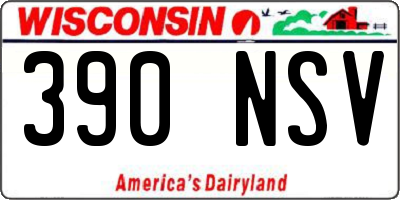 WI license plate 390NSV
