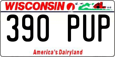 WI license plate 390PUP