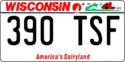 WI license plate 390TSF