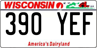 WI license plate 390YEF